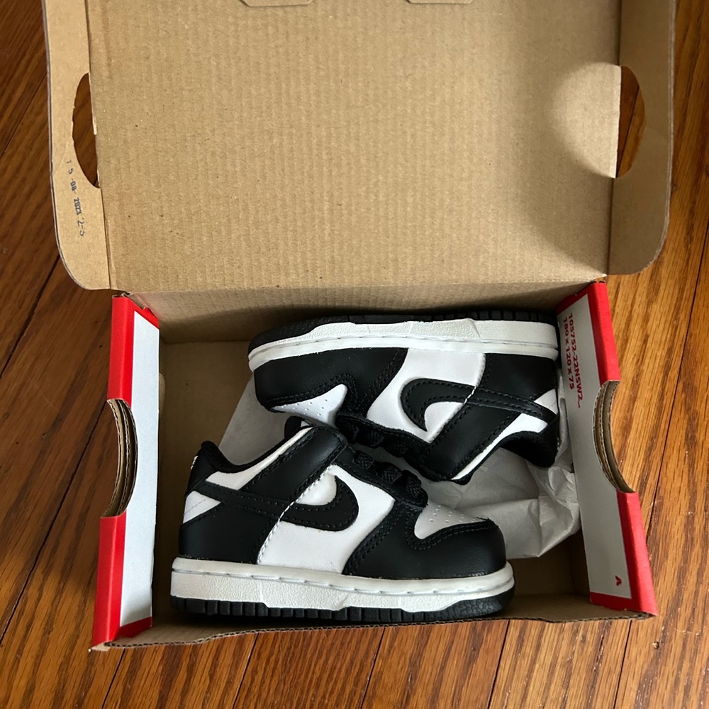 Toddler Nike Dunk low tops